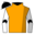 Runner silk