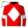 Runner silk